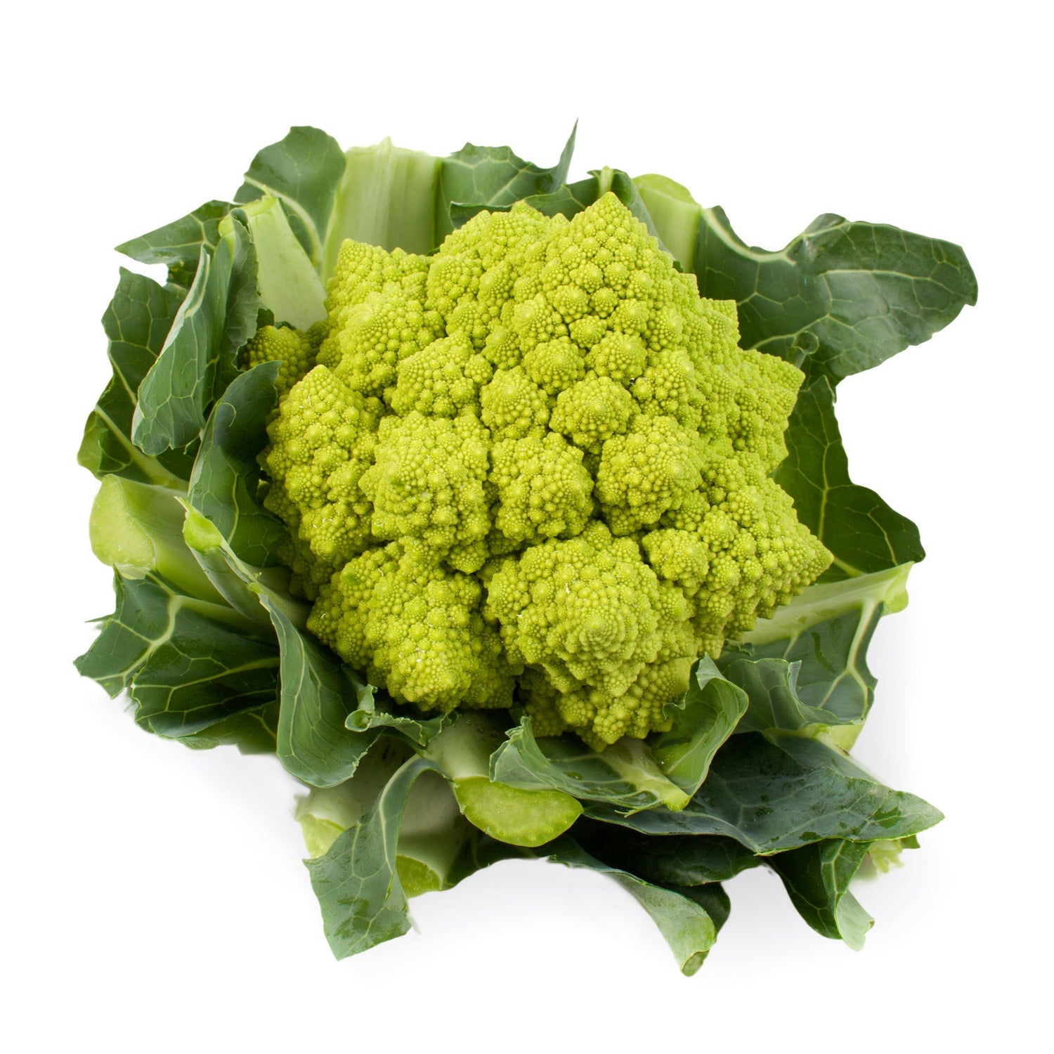 Hybrid Romanesco Cauliflower - 26-701 RZ
