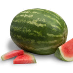 Hybrid Triploid (Seedless) Crimson Sweet Rind Watermelon - 7187HQ SuperSeedless