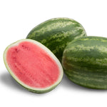 Hybrid Triploid (Seedless) Crimson Sweet Rind Watermelon - 7197HQ SuperSeedless
