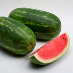 Hybrid Diploid (Seeded) Allsweet Rind Watermelon - 800