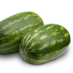 Hybrid Diploid (Seeded) Allsweet Rind Watermelon - 860