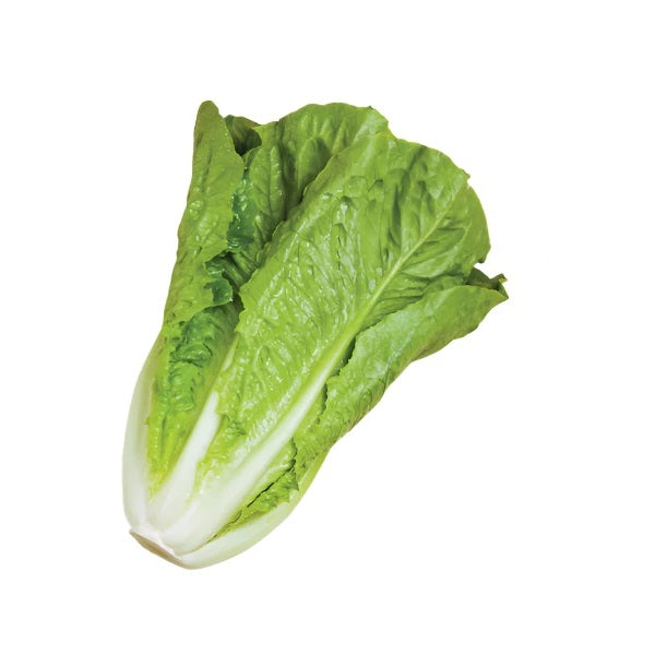 OP Green Romaine Lettuce - Abilene