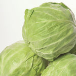 Hybrid Green Cabbage - Acclaim