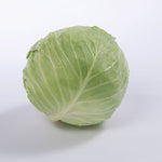 A fresh green cabbage on a white background.