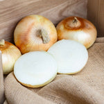 Hybrid Short Day Yellow Onion - Adhora