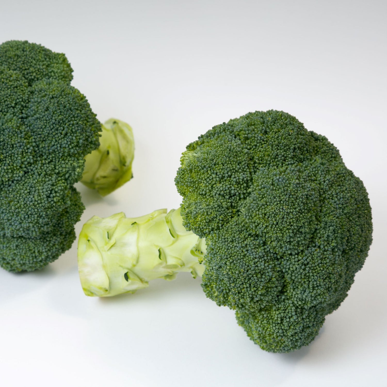 Hybrid Broccoli - Appalachian