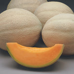 Hybrid Cantaloupe - Athena