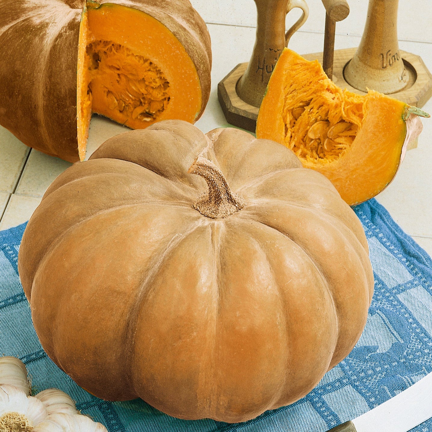 Hybrid Specialty Pumpkin - Autumn Buckskin