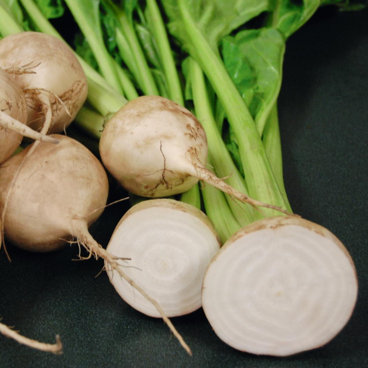 OP White Beet - Avalanche