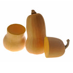 Hybrid Butternut Squash - Avalon