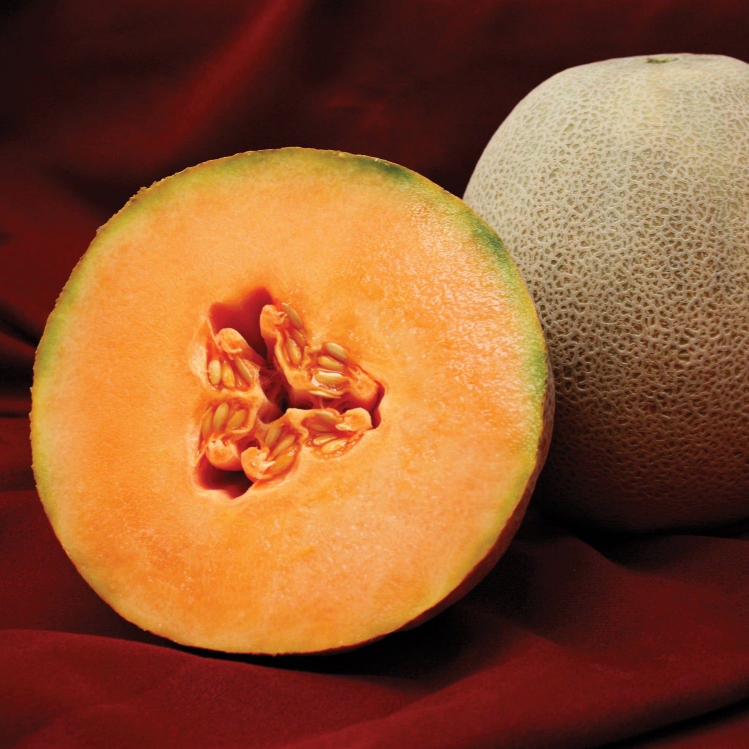 Hybrid Cantaloupe - Avatar