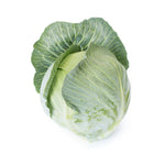 Hybrid Green Storage Cabbage - Axioma RZ