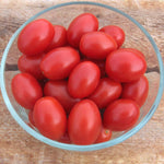 Hybrid Red Grape Tomato - BHN 784