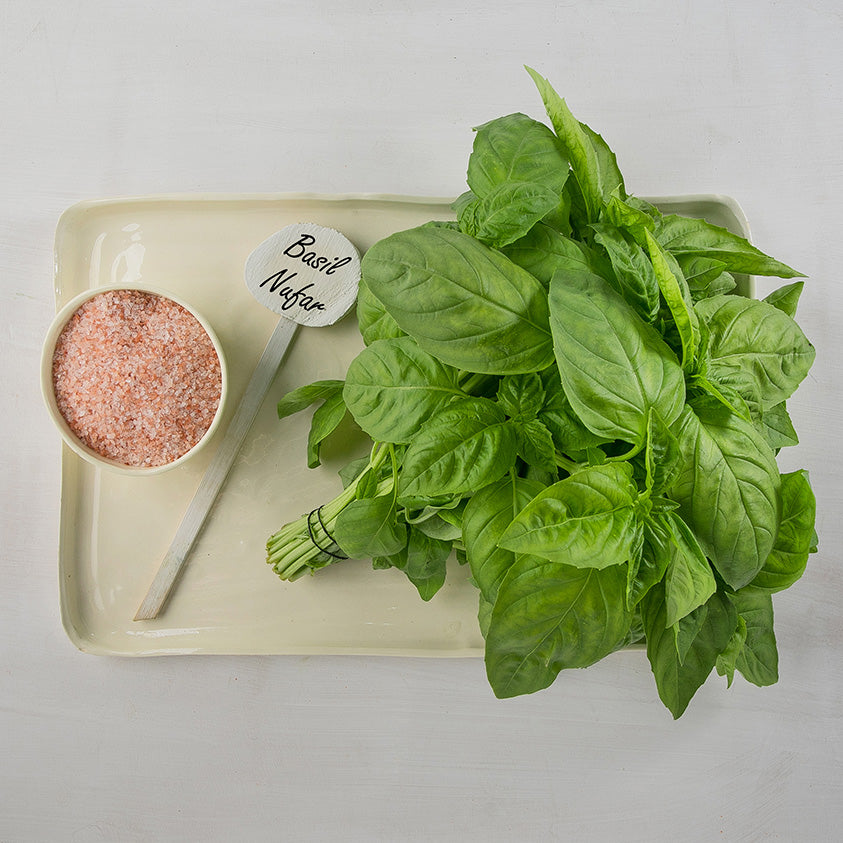Hybrid Basil - Nufar