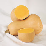 Hybrid Butternut Squash - Betternut 401