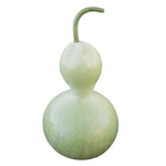 OP Large Gourd - Birdhouse