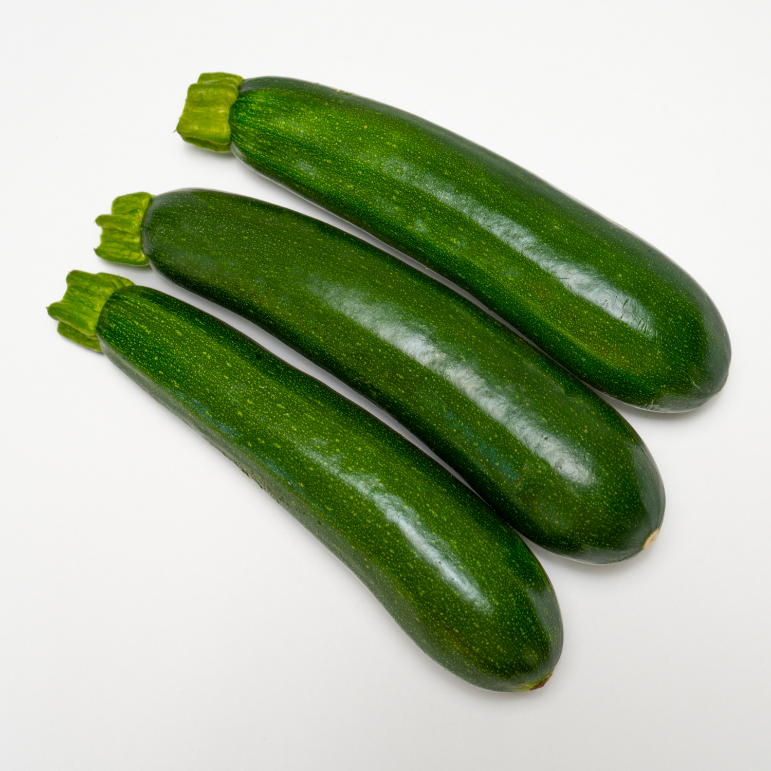 Hybrid Green Zucchini Squash - Bladerunner