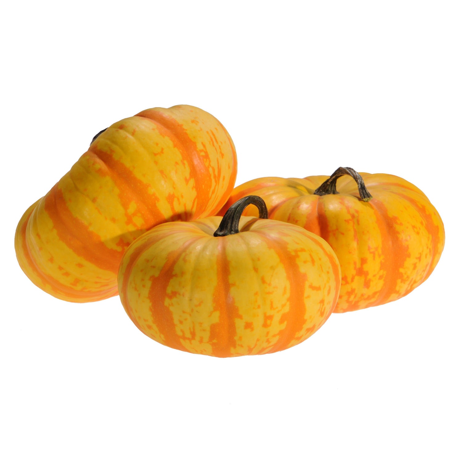 Hybrid Specialty Pumpkin - Blaze