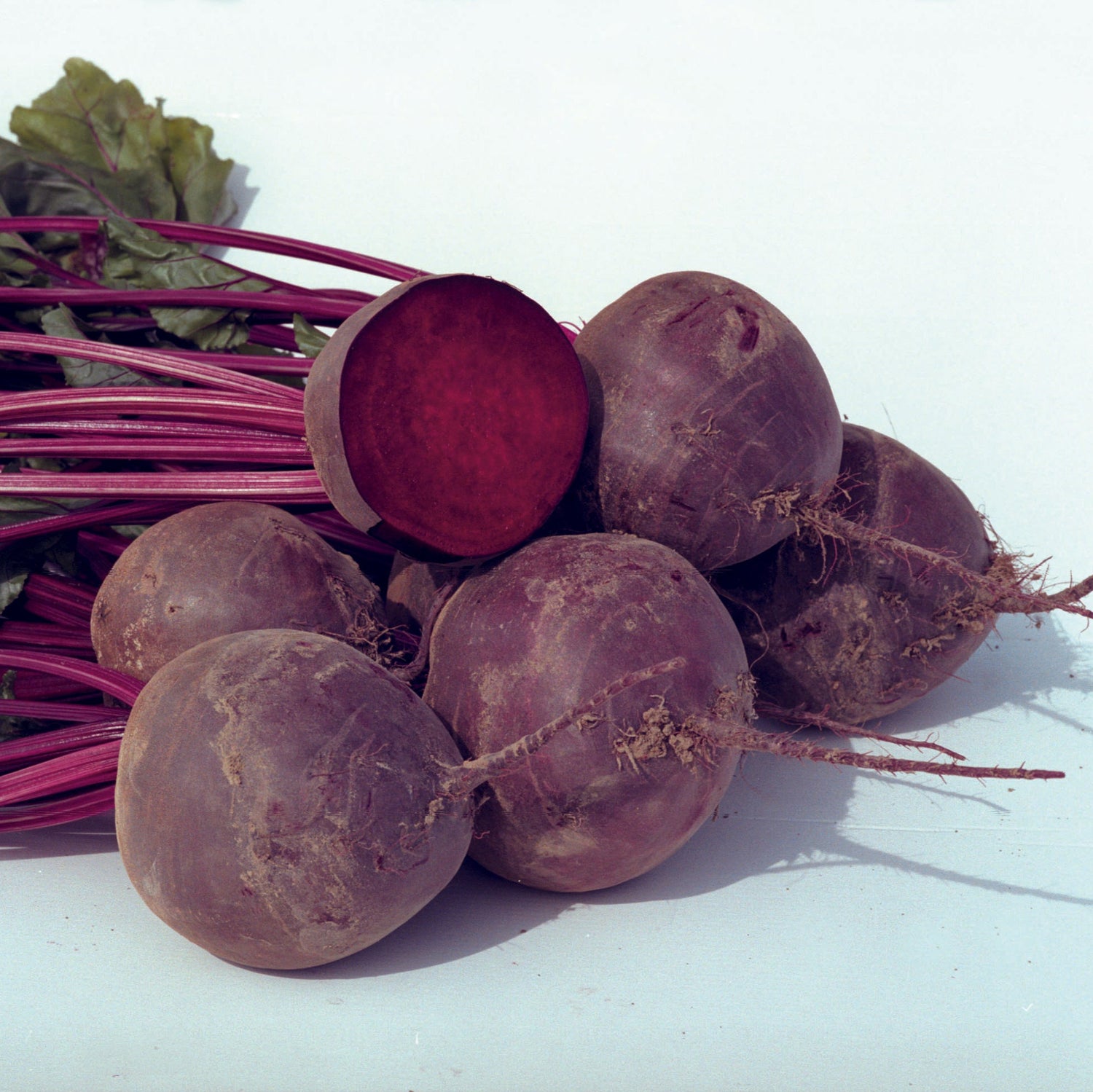 Hybrid Red Beet - Boro