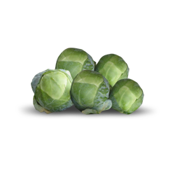 Hybrid Brussels Sprouts - Brilliant
