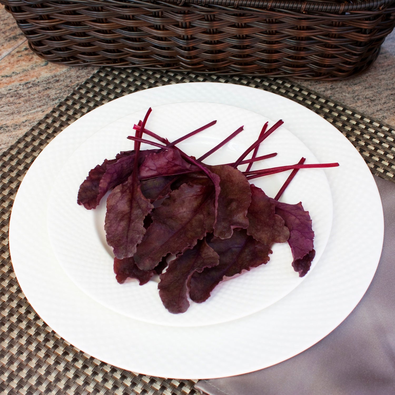 OP Red Beet - Bull's Blood