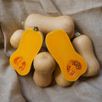 Hybrid Butternut Squash - Carla