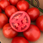 Hybrid Round Red Tomato - Carrie