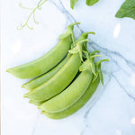 OP Snap Pea - Cascadia