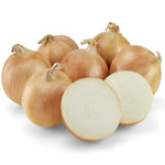 Hybrid Intermediate Day Yellow Onion - Cerini