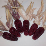OP Ornamental Corn - Cherry Berry