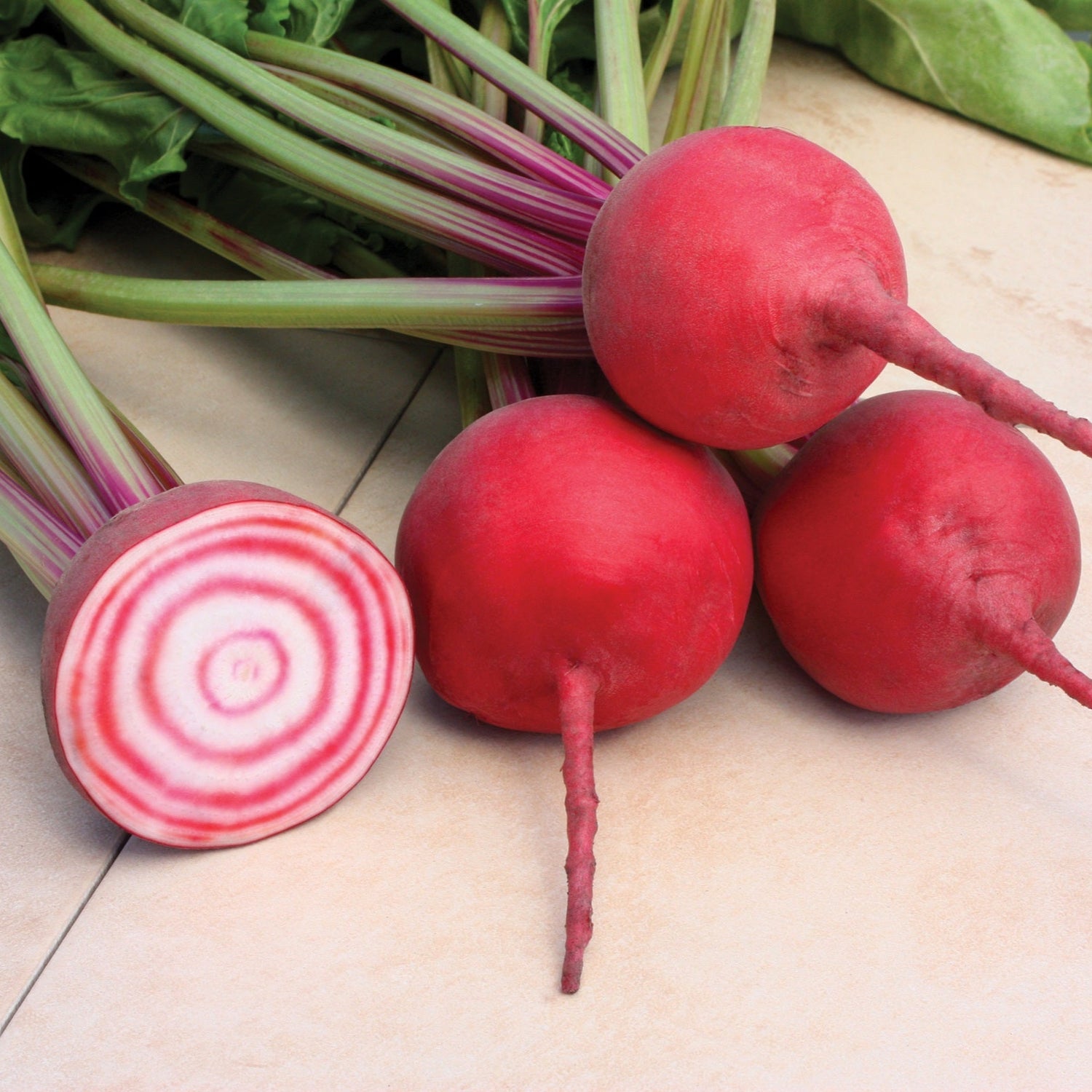 OP Chioggia Beet - Chioggia Guardsmark