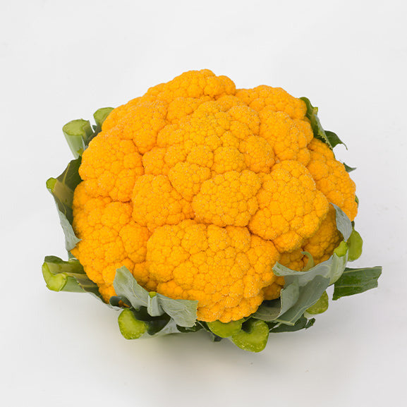 Hybrid Orange Cauliflower - Clementine