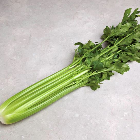 OP Celery - Command