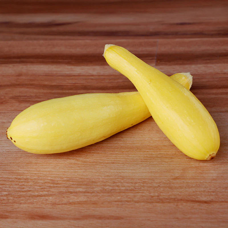 Hybrid Yellow Straightneck Squash - Cougar