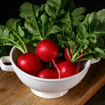 Hybrid Radish - Crunchy Delight