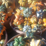 OP Small Gourd - Daisy Mix