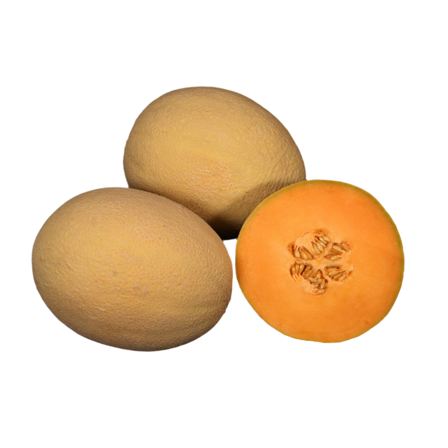 Hybrid Cantaloupe - Damaris