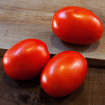 Hybrid Roma/Saladette Red Tomato - Daytona