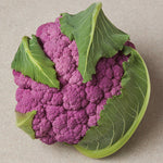 Hybrid Purple Cauliflower - Depurple
