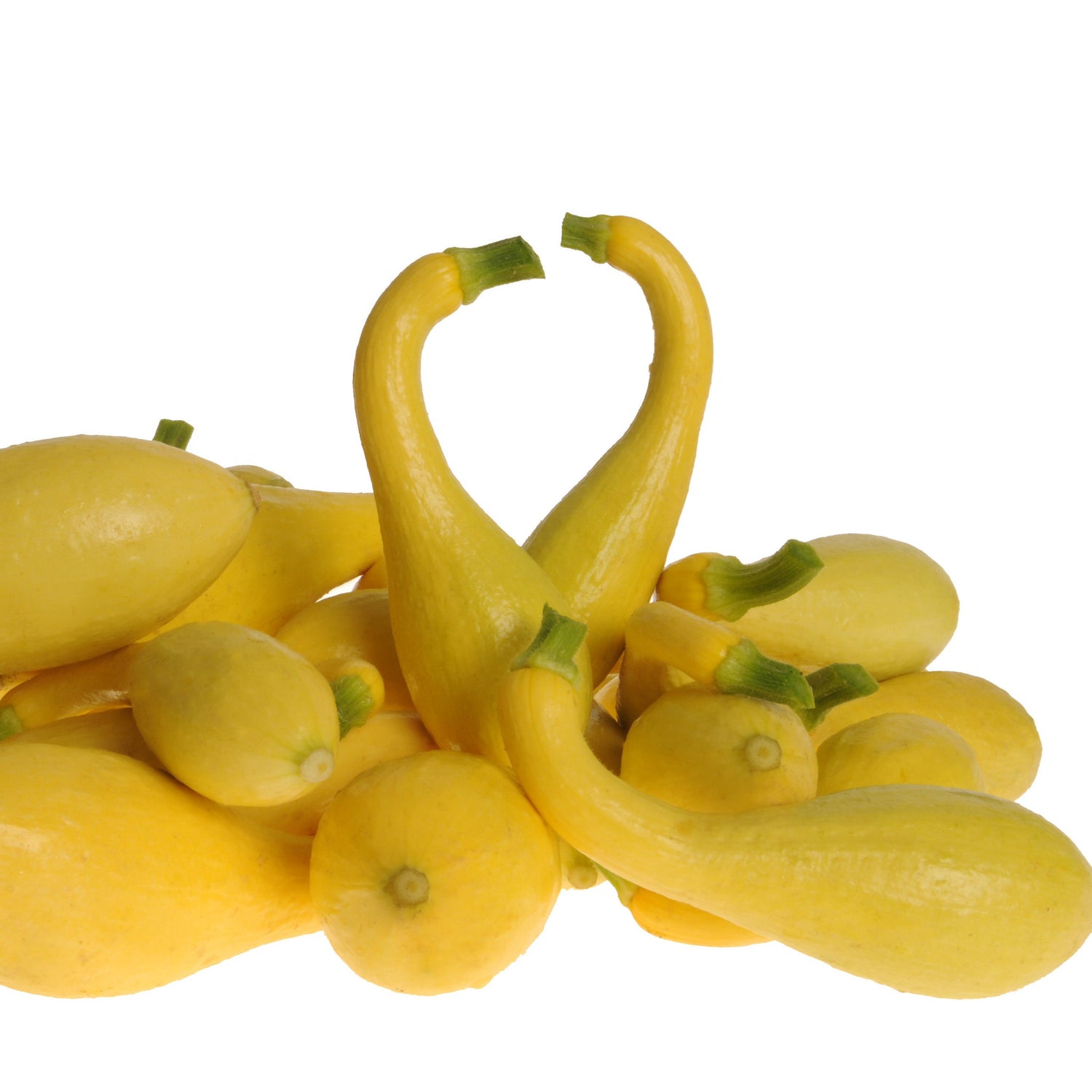 Hybrid Yellow Crookneck Squash - Delta