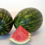 Hybrid Triploid (Seedless) Crimson Sweet Rind Watermelon - Destination