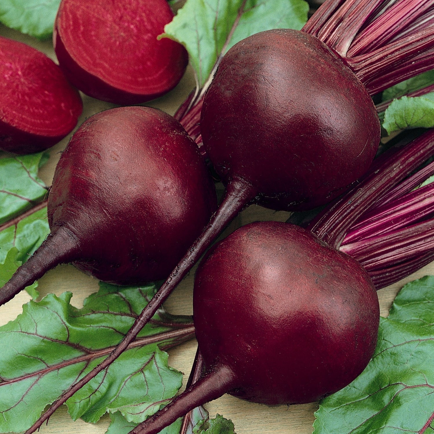 OP Red Beet - Detroit Dark Red