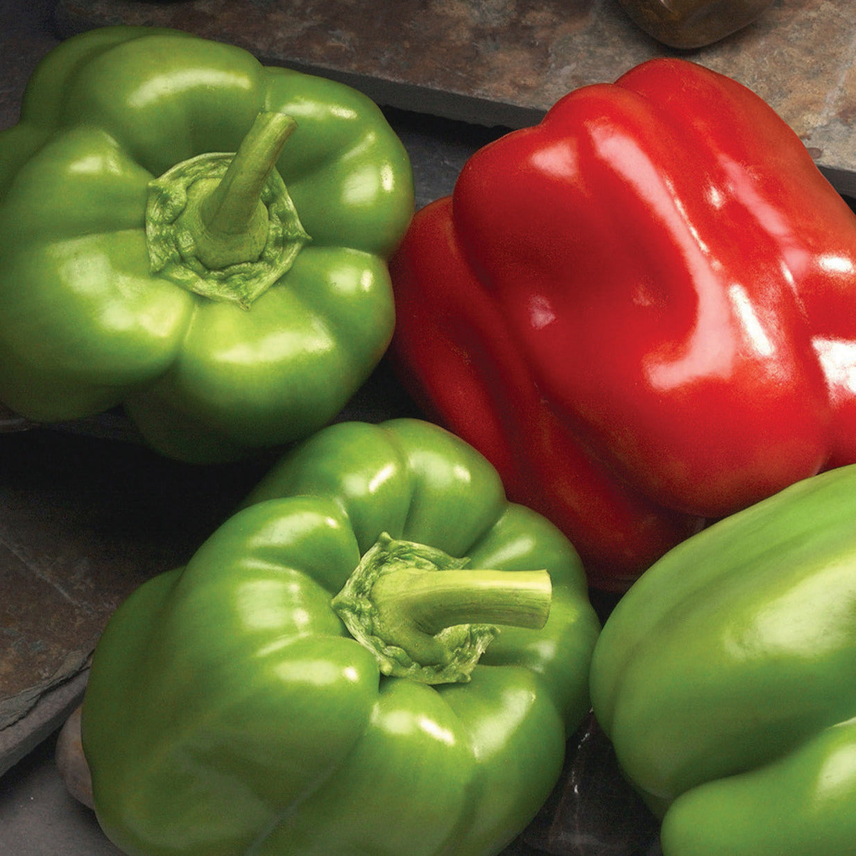 Hybrid Red Bell Pepper - Double Up