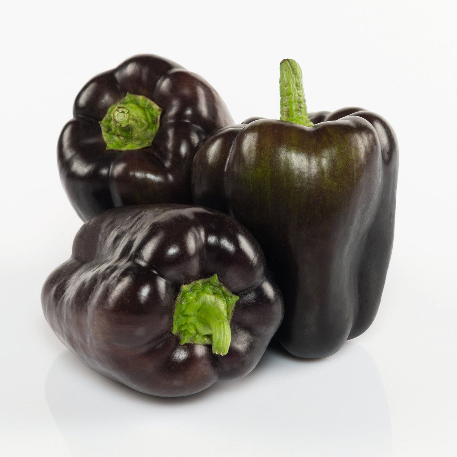 Hybrid Purple Bell Pepper - Dragonfly