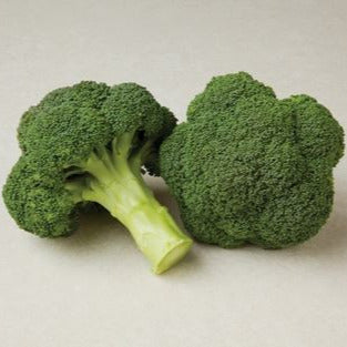 Hybrid Broccoli - Durapak 16