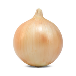 Hybrid Short Day Yellow Onion - Duster