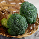 Hybrid Broccoli - Eastern Crown