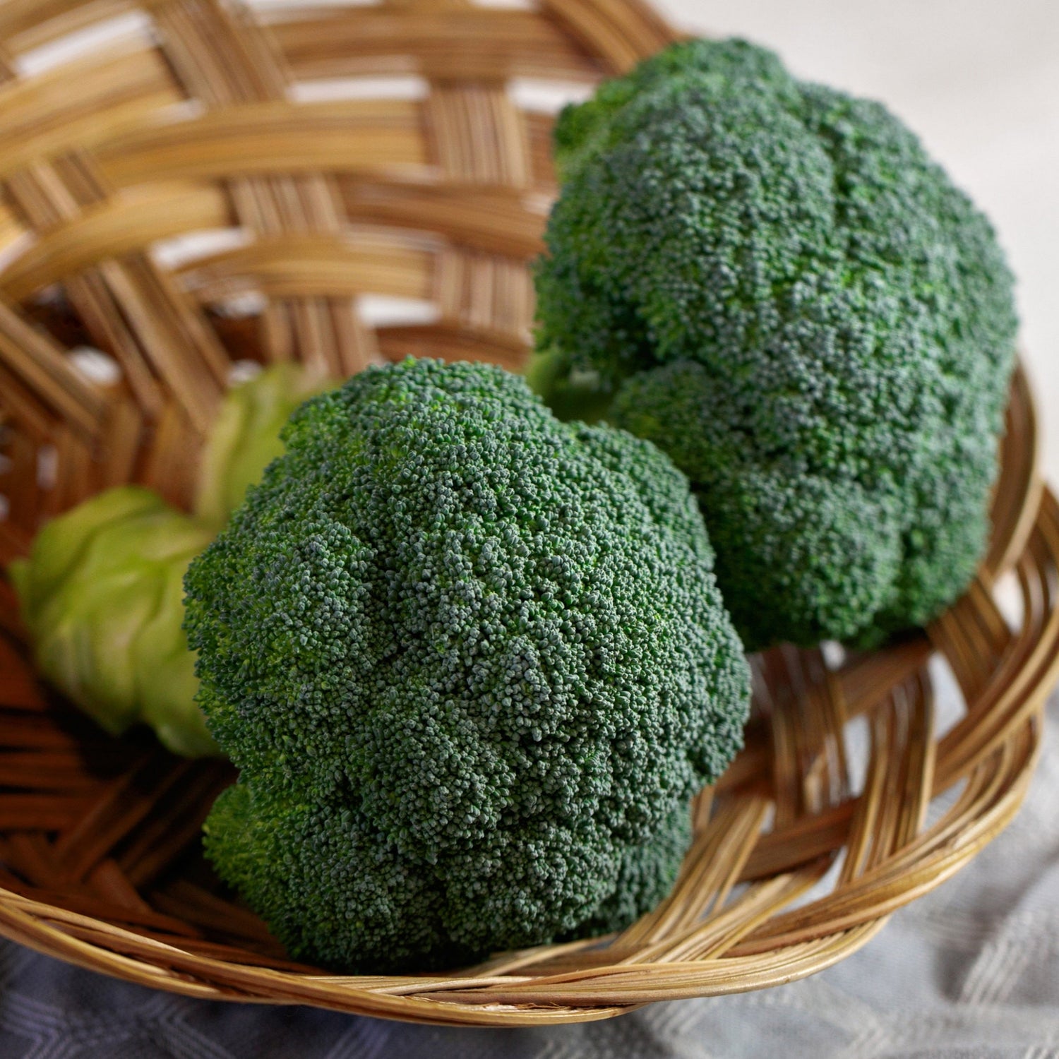 Hybrid Broccoli - Eastern Crown
