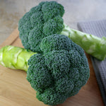 Hybrid Broccoli - Eastern Magic