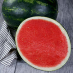 Hybrid Triploid (Seedless) Crimson Sweet Rind Watermelon - El Capitan
